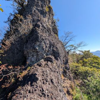 ここ登るの？（登ります）