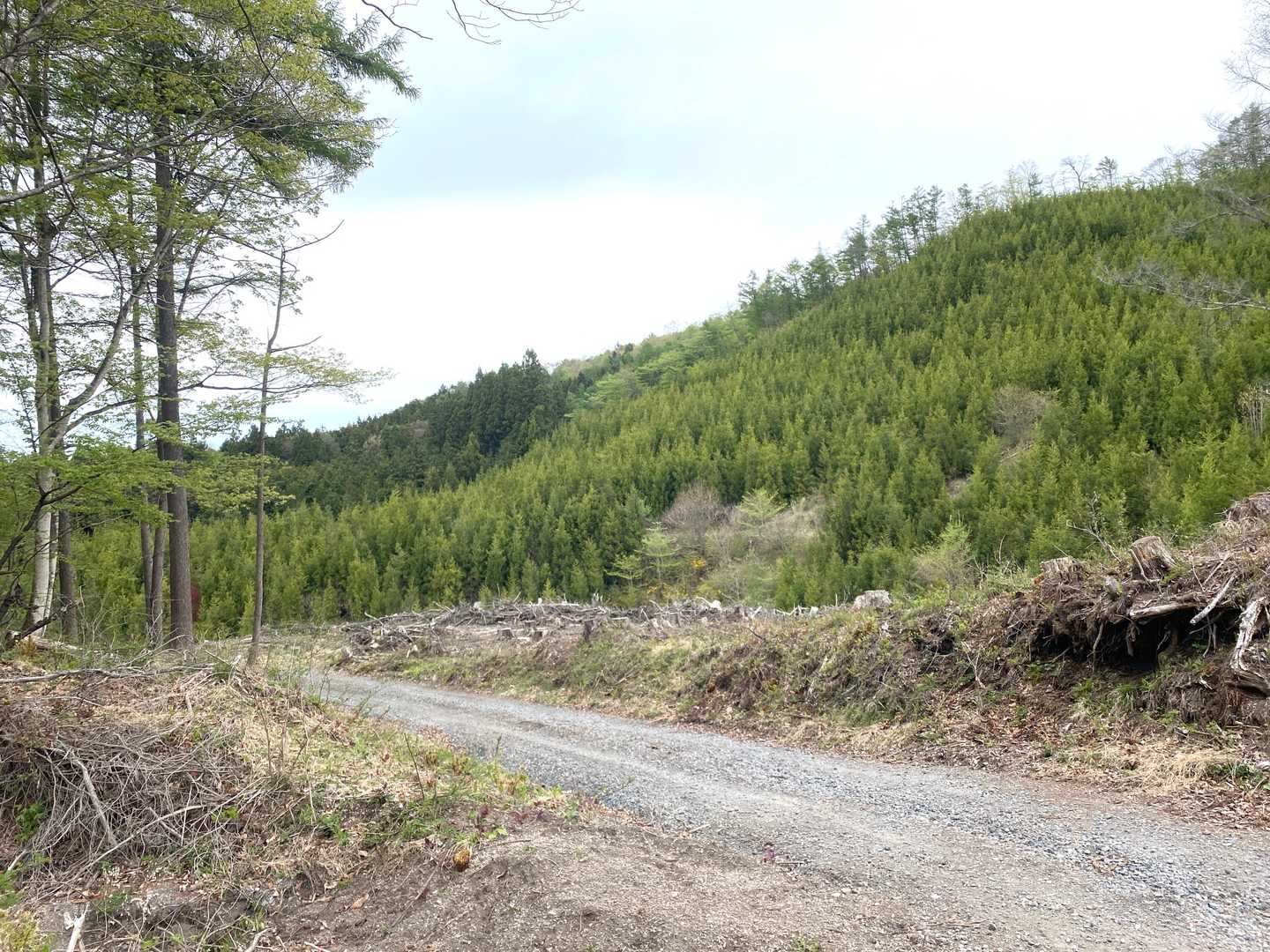 さっきの船ヶ鼻山