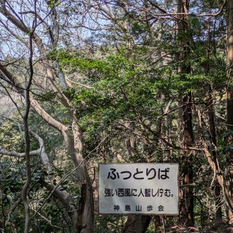 今日は風は穏やかで飛ばされませんでした