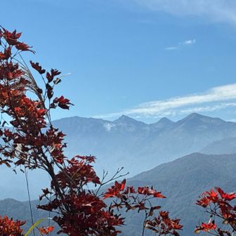 山頂から小蓮華、白馬岳、旭、雪倉