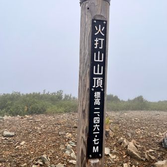着いた
