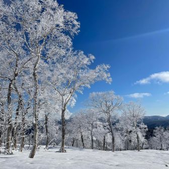 はぁぁぁ。来て良かった。