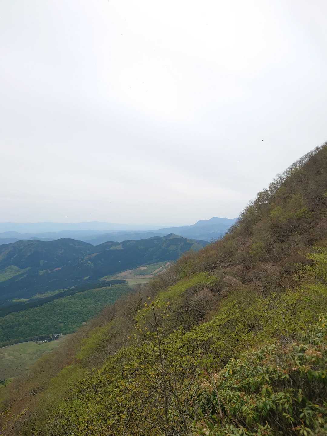 由布岳 猪ノ瀬戸登山口コースの写真