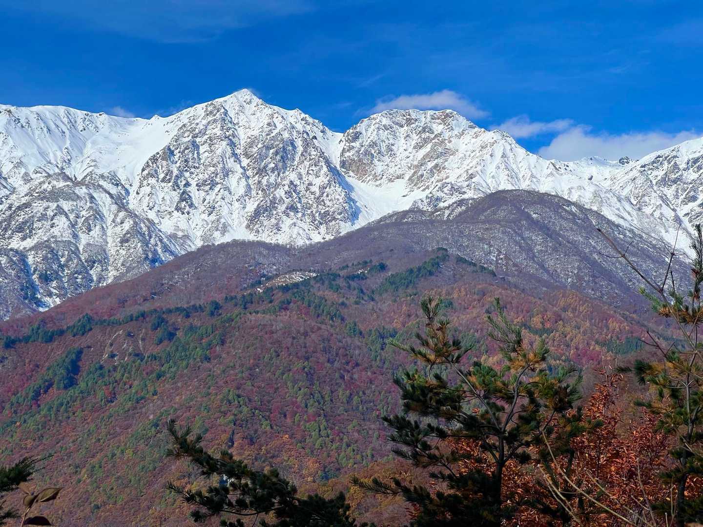 三段紅葉🍁☃️