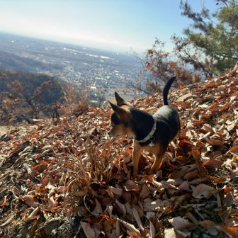 オマエかっこいい😎