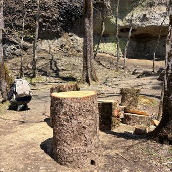 またフデリンドウを見つける山友さん