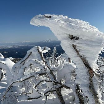 なんかこの🦐
ドラゴン🐉とかフェニックス🐦‍🔥に見える😄