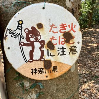 こうちゃん