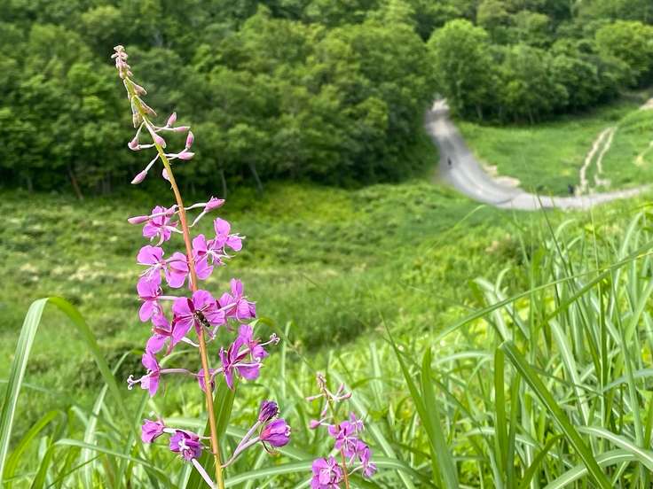 手稲山（手稲山・奥手稲山 / 北海道） / アクセス・地図・周辺情報