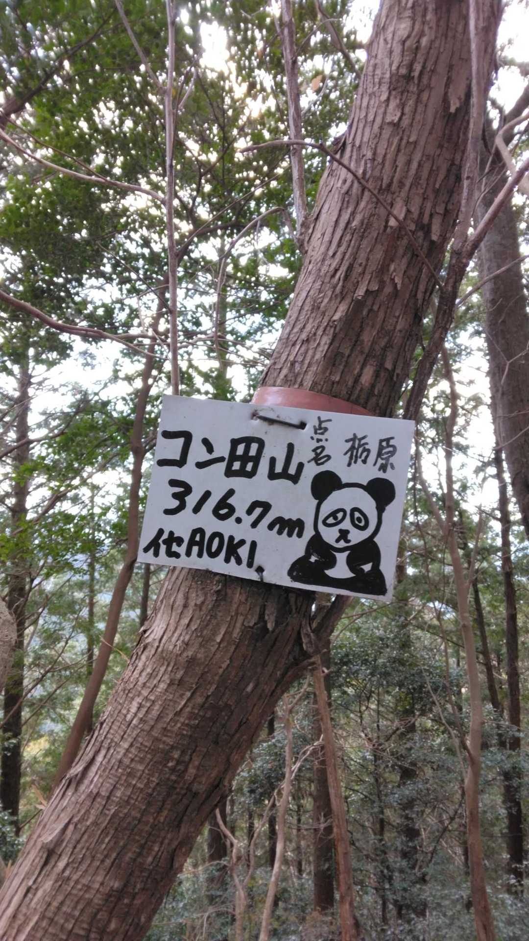 安定のイセAOKIさんᕙ⁠(⁠ ⁠ ⁠•⁠ ⁠‿⁠ ⁠•⁠ ⁠ ⁠)⁠ᕗ
