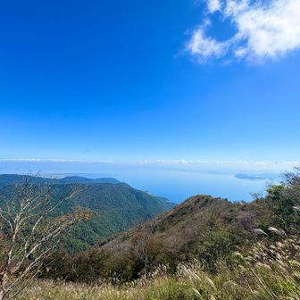 青い