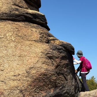 登りたくなるよね🤣