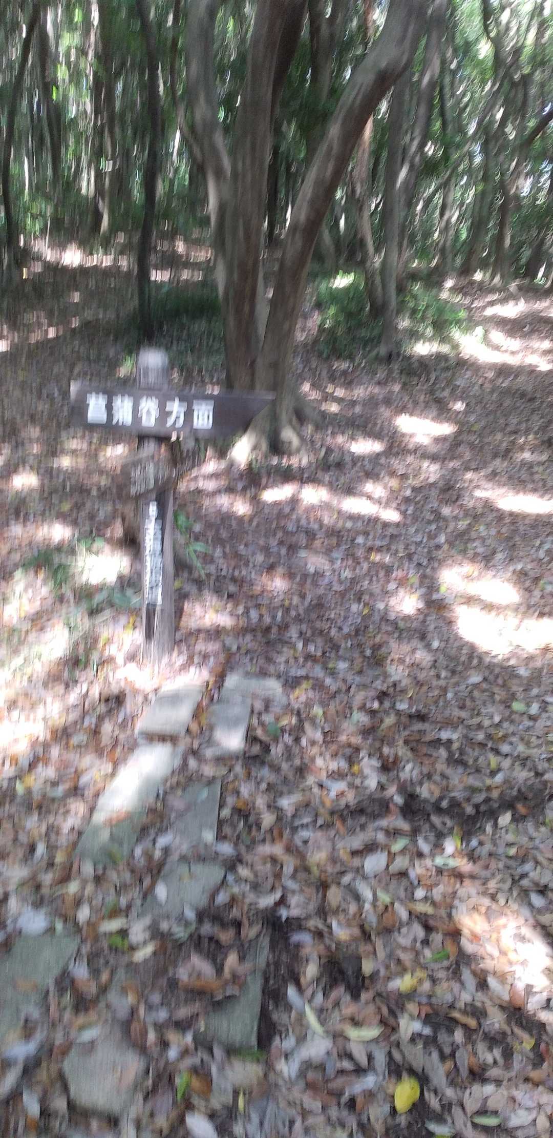 ここまっすぐです。ピンクテープありませんが
迷わないでしょー
