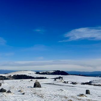 美ヶ原高原は歩かず😅