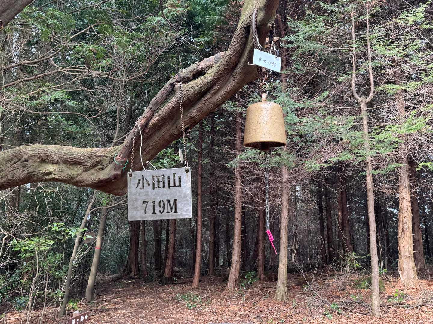 幸せの鐘🔔