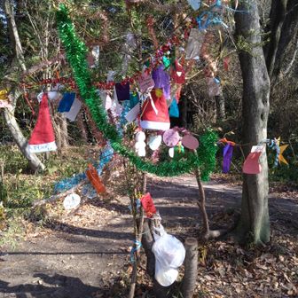 出逢いの広場、クリスマスツリー