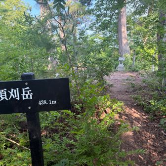山頂