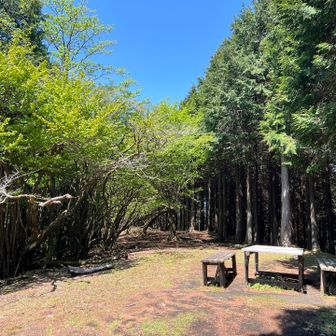 不老山山頂。
展望はありません。
