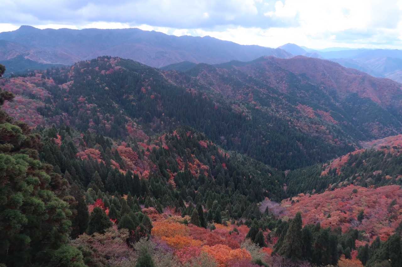冠山・寂地山方面