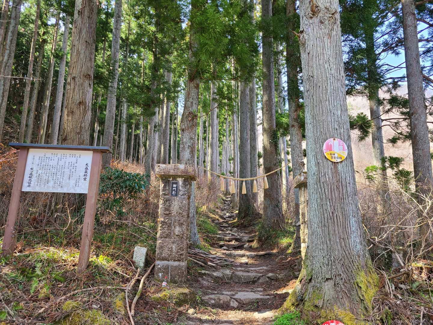 今日も1日ありがとうございました
(⋆ᵕᴗᵕ⋆)"☆*ﾍﾟｺﾘ