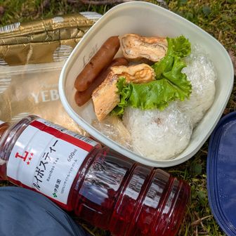 シンプルだけど旨いお弁当
