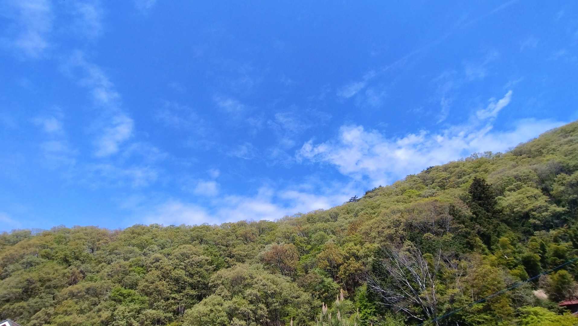 要害山登山口-要害山-深草観音 周回コースの写真
