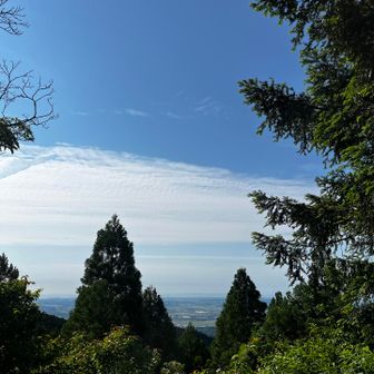 初の視界が少し開けたー