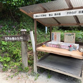 いろいろ販売されておりました