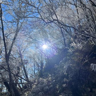 日差しでハラハラと散る霧氷(写ってません😅)

無事下山

次は雪の上を歩けるか？そろそろ降って下さいな❄️

今日もありがとう😊

　　　　　　　　おわり