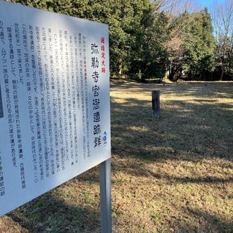 弥勒寺跡の中を通過。