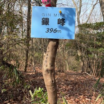 銀峰到着