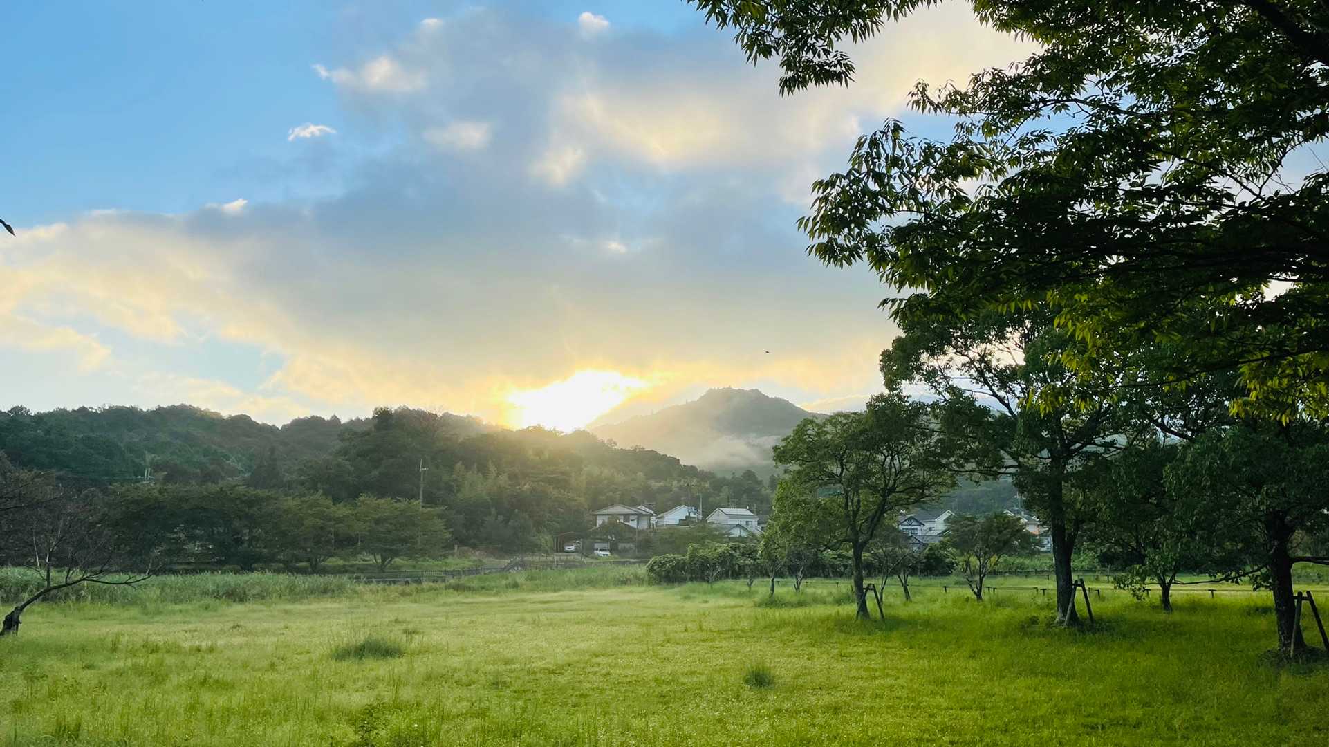 朝日どーなってんの？😂