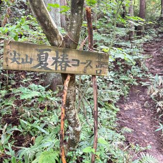 ここでY先生とは
お別れし、いつもの
夏椿コースから
頂上目指します💪