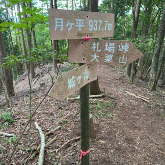 二つ目のピーク、月ヶ平に到着！