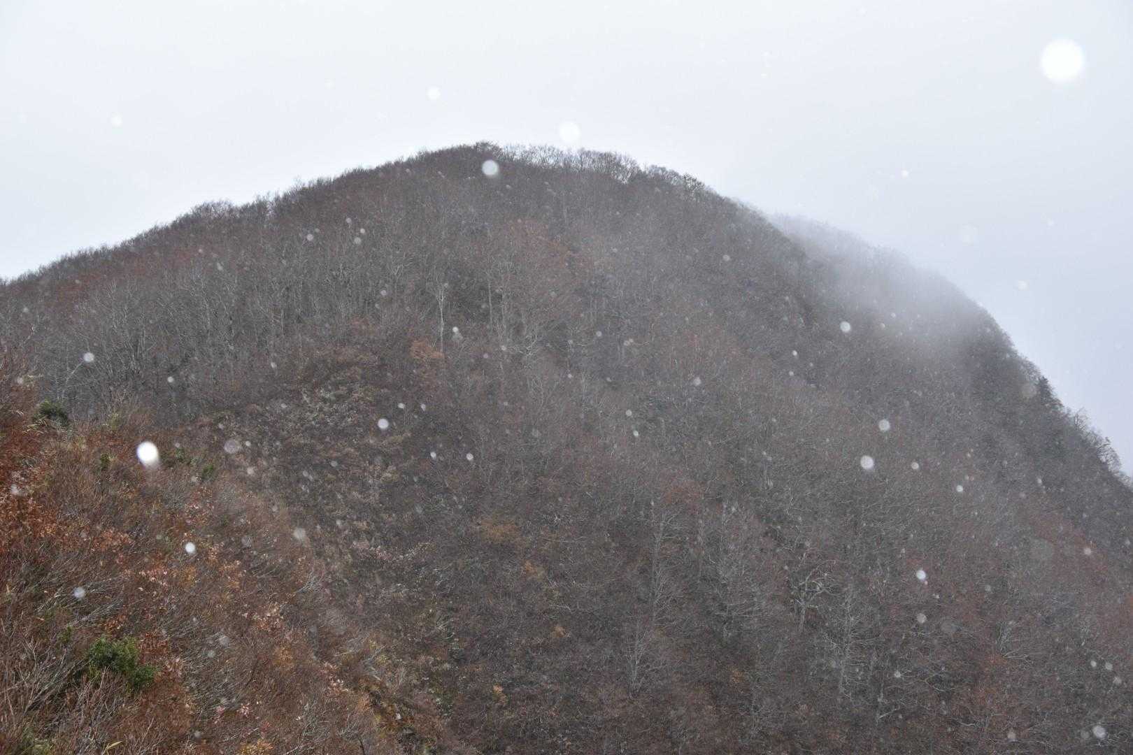 あれれ、雪が降ってきた