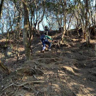 壁のような斜面を這い上がり