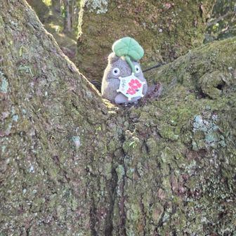 トトロおった
賀正。