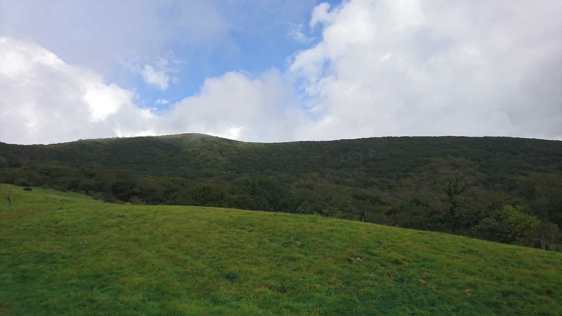 吾妻山 往復コースの写真