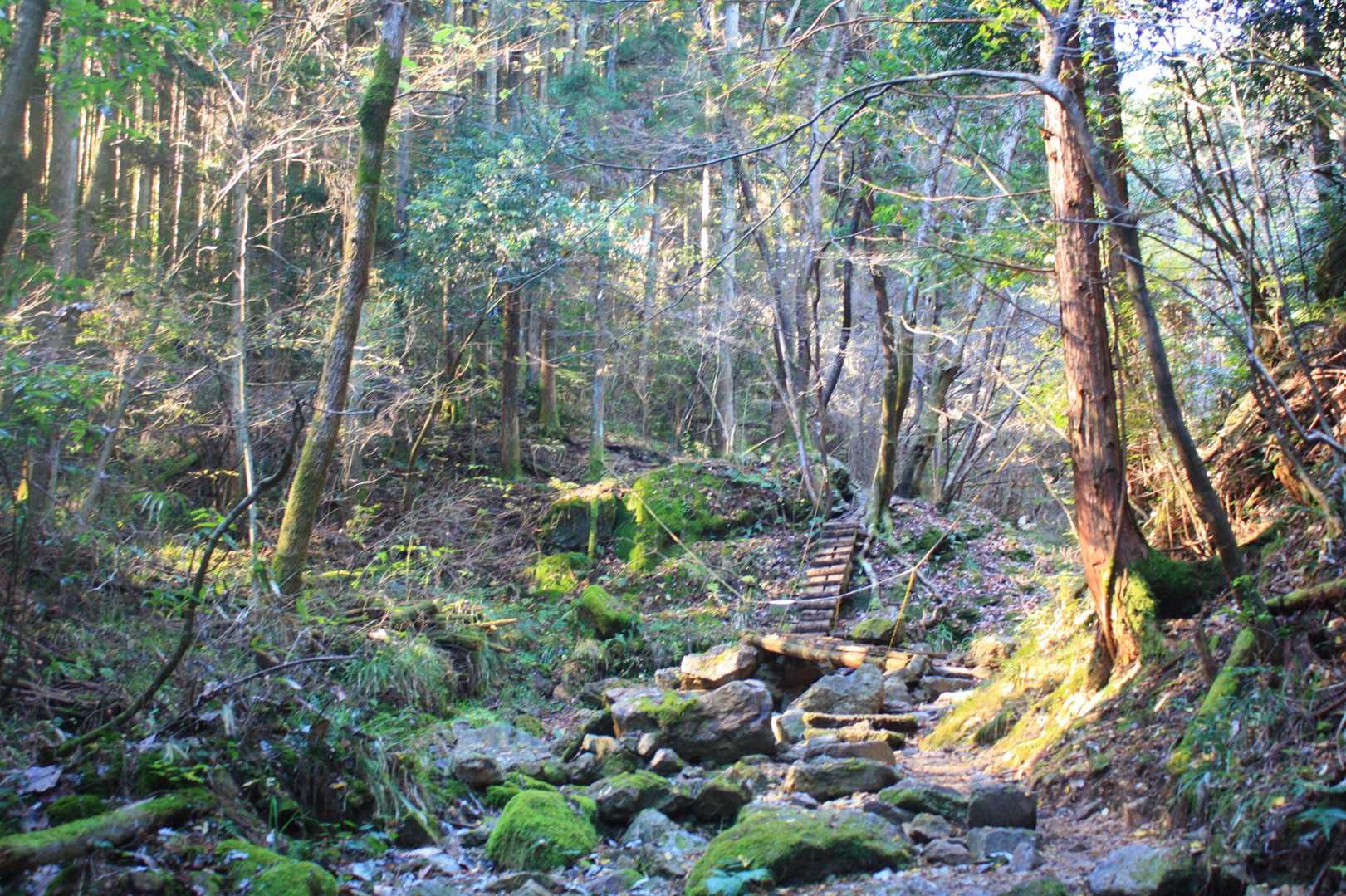 こんなコースになって・・・