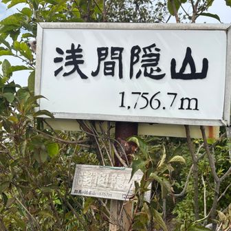 最後に歩きにくい急登を越えると、浅間隠山の山頂にとうちゃこ〜！🙌

ちなみに山名の由来は、中之条町や東吾妻山などの北東側から見たときに壁となって浅間山を隠してしまう山だから（by Gemini）