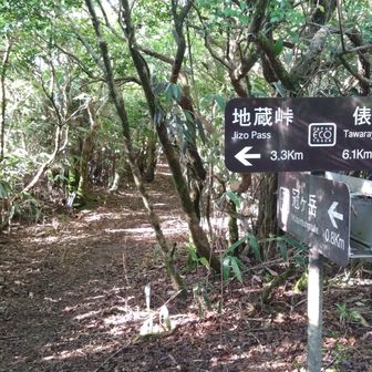 縦走路に出る。