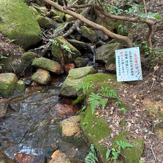 水場に癒される