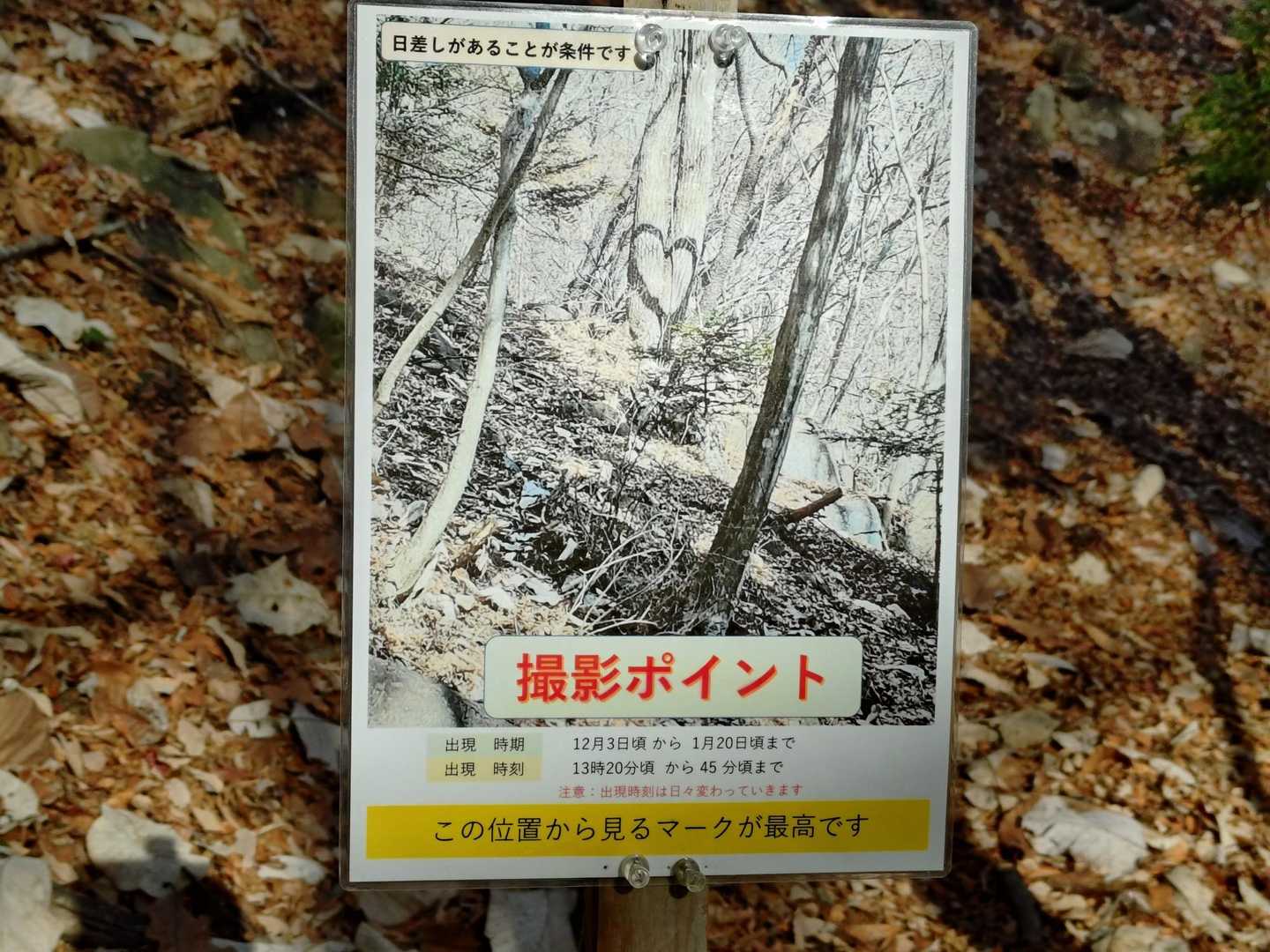 次回の参考に。
あれ！出現時間過ぎてるし🤣
見れないわけだー
ここから先は焦らず行こうっと🐾