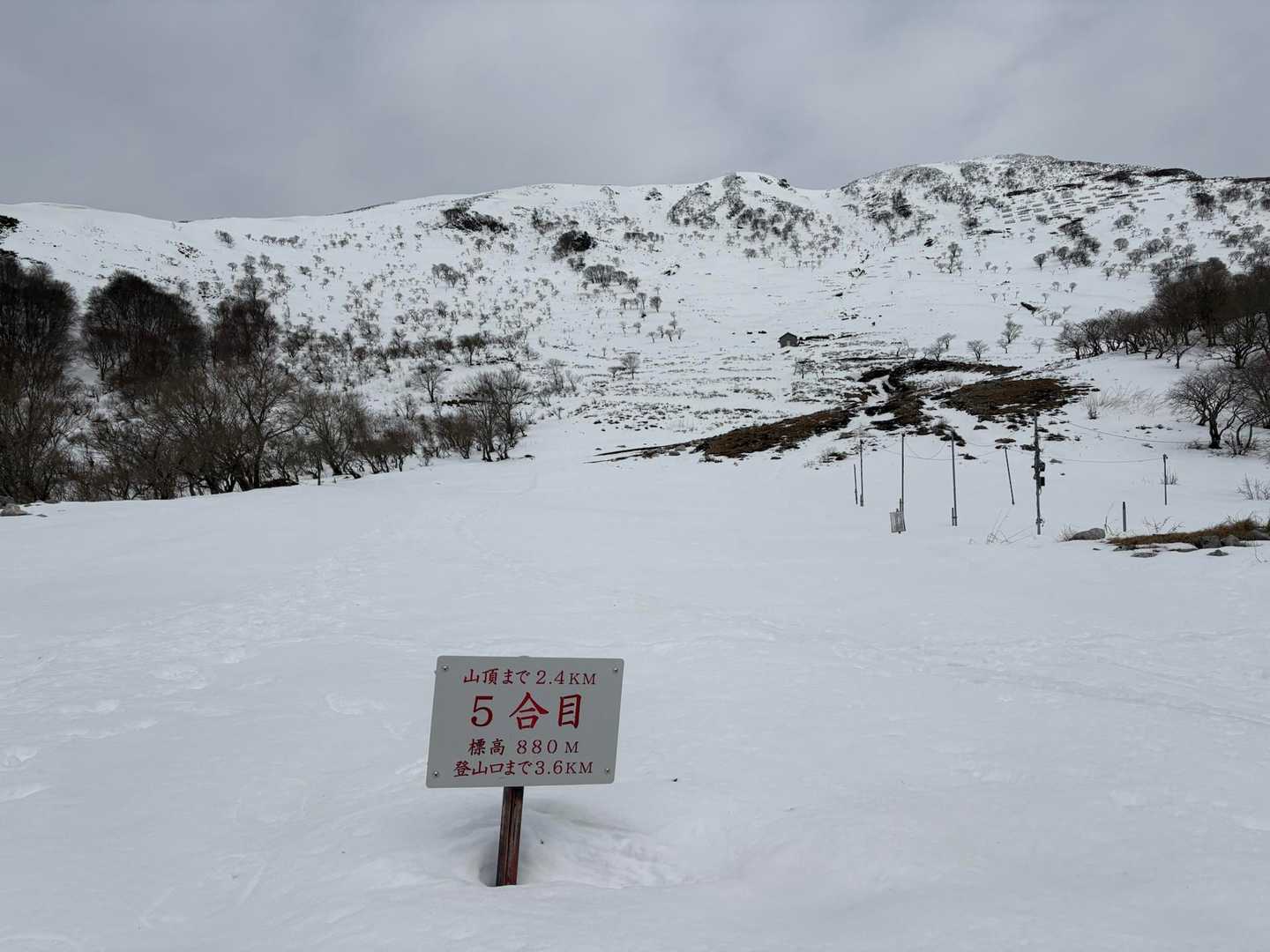 伊吹山 正面登山道（上野口コース）の写真