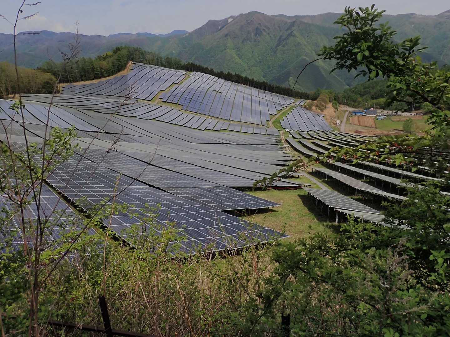 こちらの大平登山口にも車が何台か駐車中
案外こちらから登られる方も多いらしく

にしても酷い眺めなもんです
(あくまで個人的感想です)