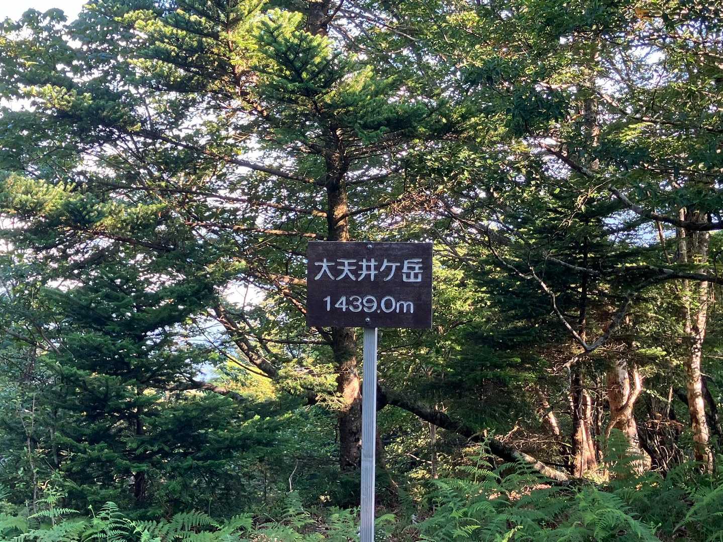 到着。山頂は眺望なしですが
標高1400だし涼しい。
天然クーラーです♪