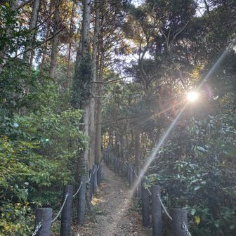 　　　　　　　　　　　　道　　　　　　　　　光