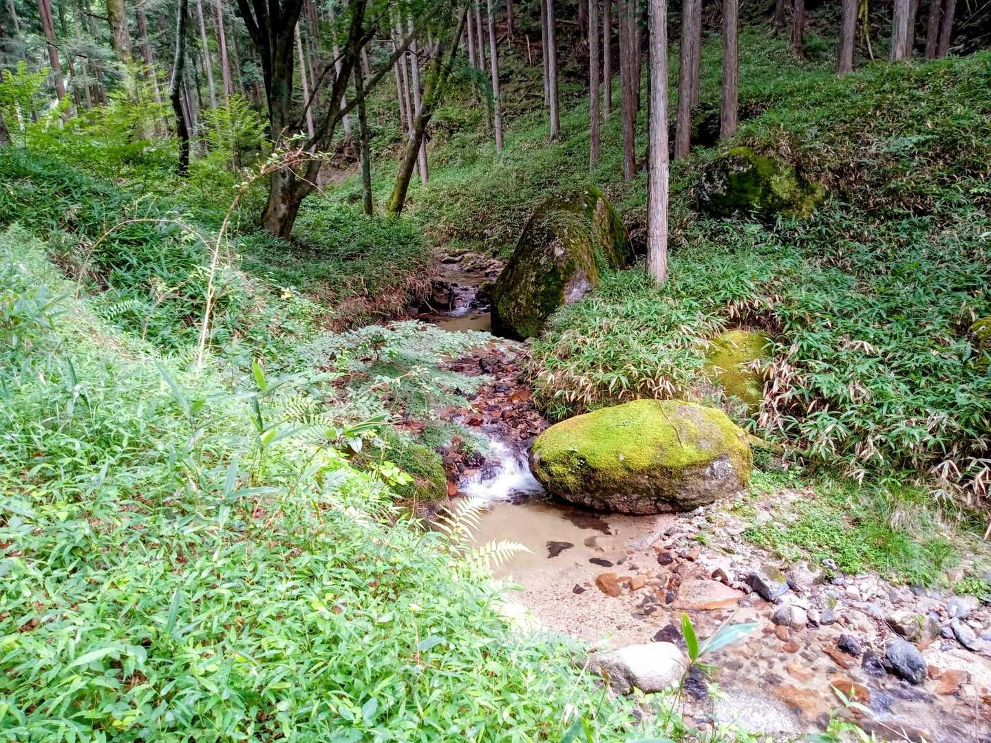 ところどころで沢あり✨
