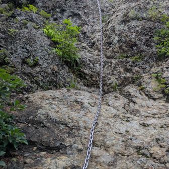下りて来ました
垂直です
登って下りて