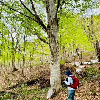 ぐり𖤣𖥧𖥣｡𖥧𖧧